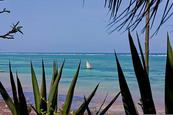 Destination Malindi (Kenia)