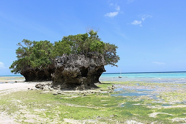 Destination Pemba Island (Tansania)