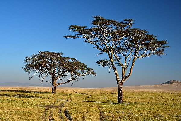 Destination Südsudan